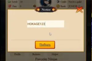 Redeem a code in Temple of Shadows