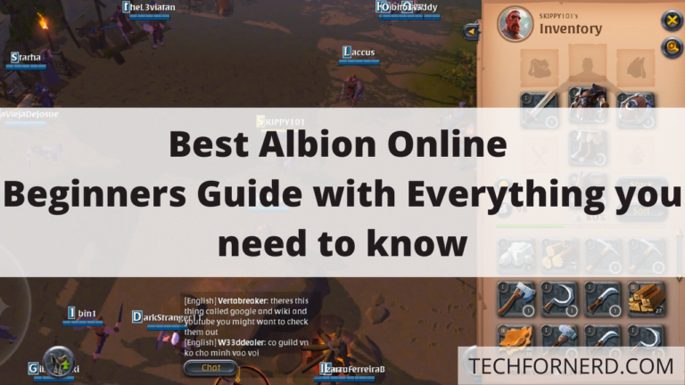 Best Albion Online Beginners Guide