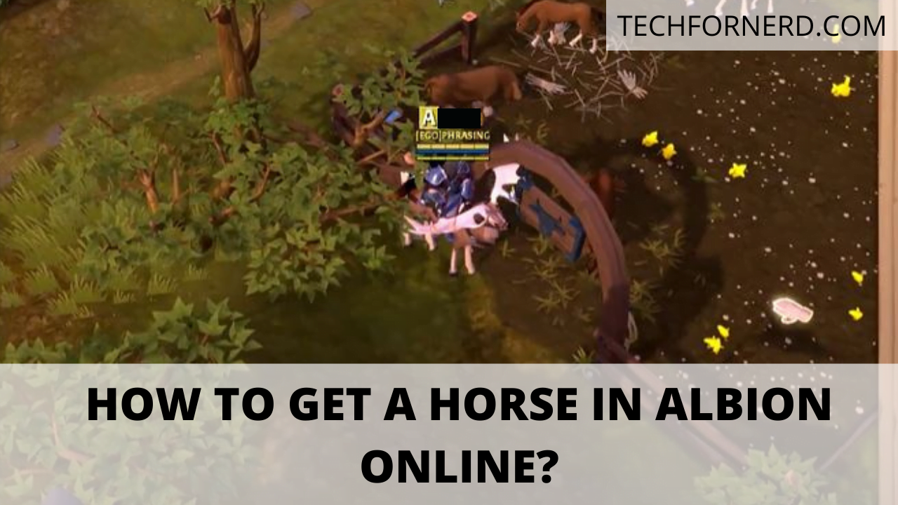 How to get a Horse in Albion Online? TECHFORNERD