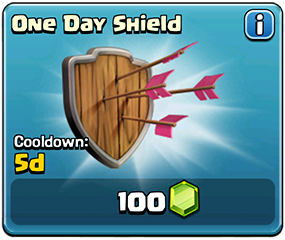 1 day shield en