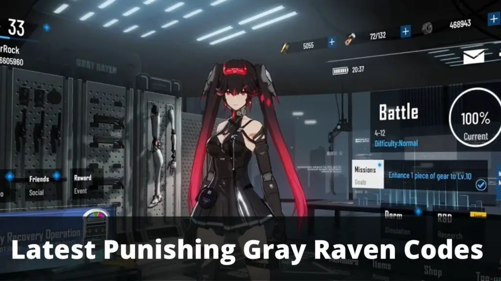 Punishing Gray Raven Codes