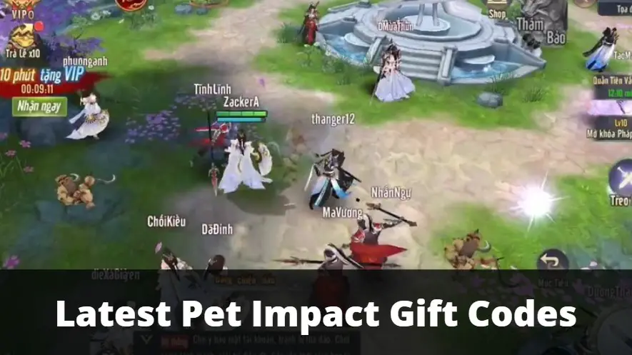 Pet Impact Gift Codes