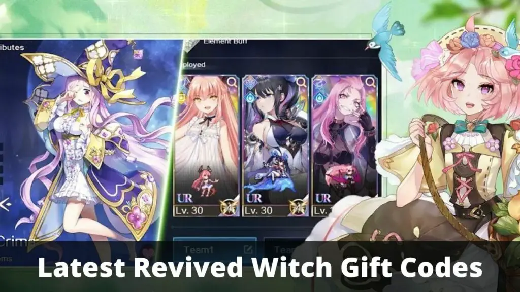 Revived Witch Gift Codes