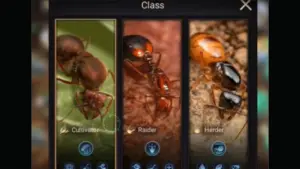Know your Ants