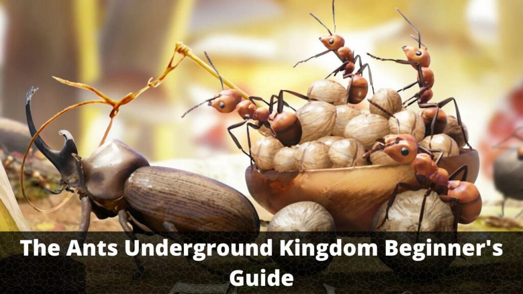 The Ants Underground Kingdom Beginner's Guide