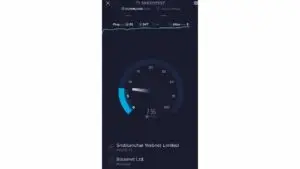 check your ping