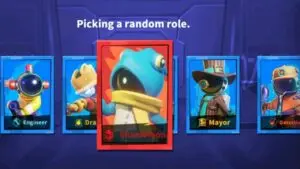 roles
