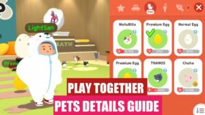 Play Together Pets Guide