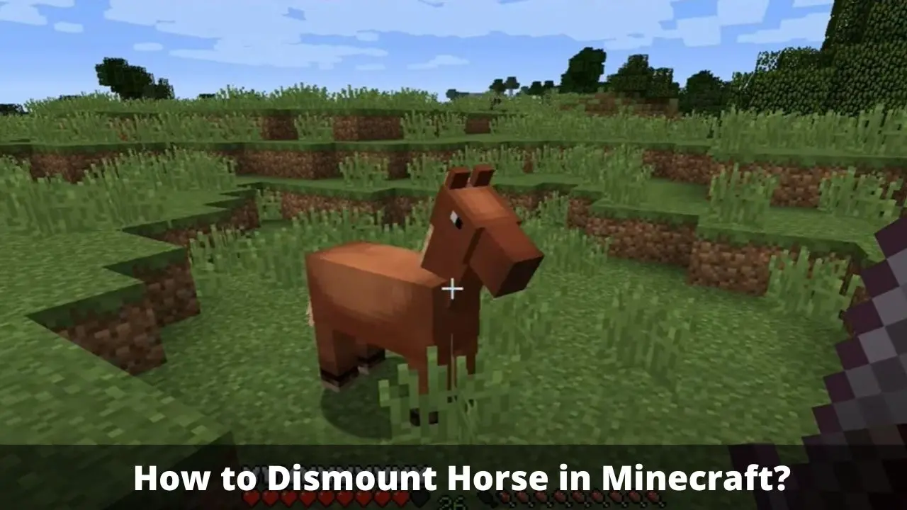 How to Dismount Horse in Minecraft?