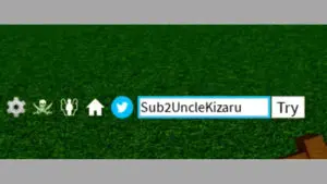 Redeem a gift code in Roblox Blox Fruit