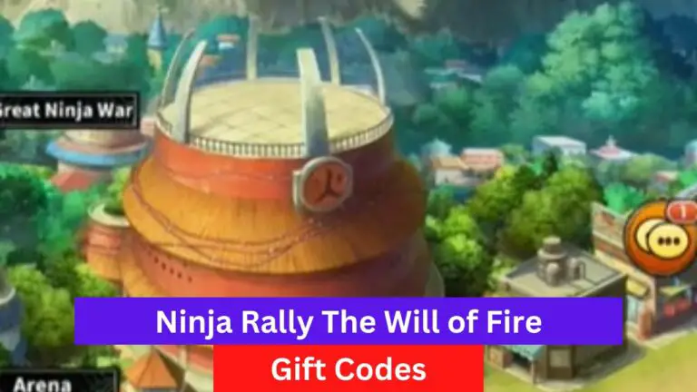 Ninja Rally The Will of Fire Codes
