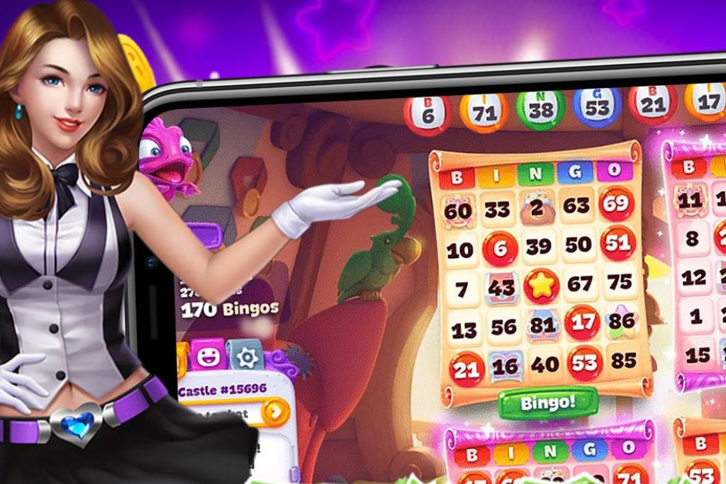 Bingo Tour Promo Codes (September 2024) TECHFORNERD