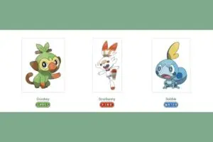 Pokemon Generation 8